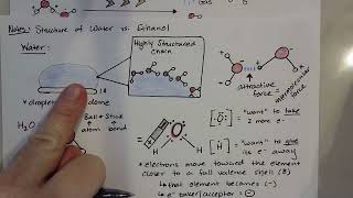 IMFs and Evaporation Time: Water vs. Ethanol