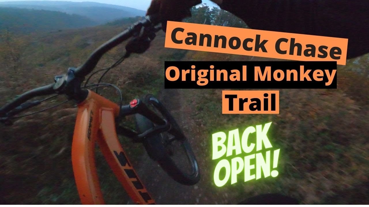 Cannock Chase | Original Monkey Trail | Riding with my lil bro!