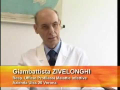 Video: Influenza Suina - Sintomi, Trattamento, Vaccinazione, Segni