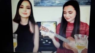 Merrell Twins- Valentines Day Song