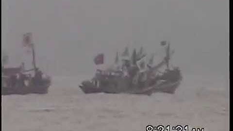 Lễ hội cầu ngư Phan Thiết: 2007