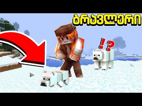 ვიპოვეთ დათვის ბელი მაინკრაფტში! ბრავლერი #52