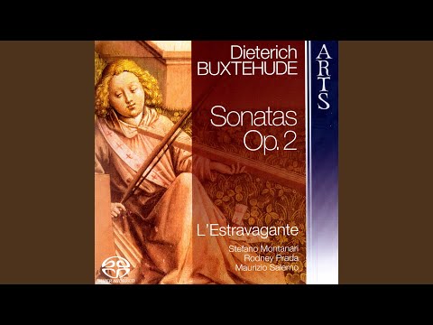 Sonata II in D Major BuxWV 260: Arietta