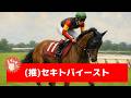追い切り徹底解説!【府中牝馬ステークス2026】ヴァルキリーバース、ニシノティアモなどの状態はどうか?調教S評価は2頭!
