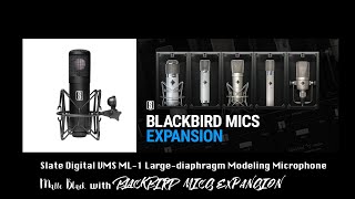Slate Digital VMS ML-1 Matte Black  &  BLACKBIRD MICS EXPANSION  Vocal Test (Old Town Road Cover)