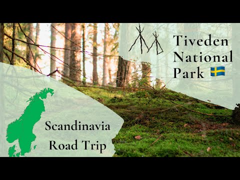 Video: Skillnaden Mellan Nationalpark Och Nationalskog