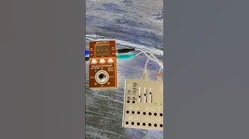 zoom ms 70 cdr & meg qi wingie mk2 #relaxing #soundscape