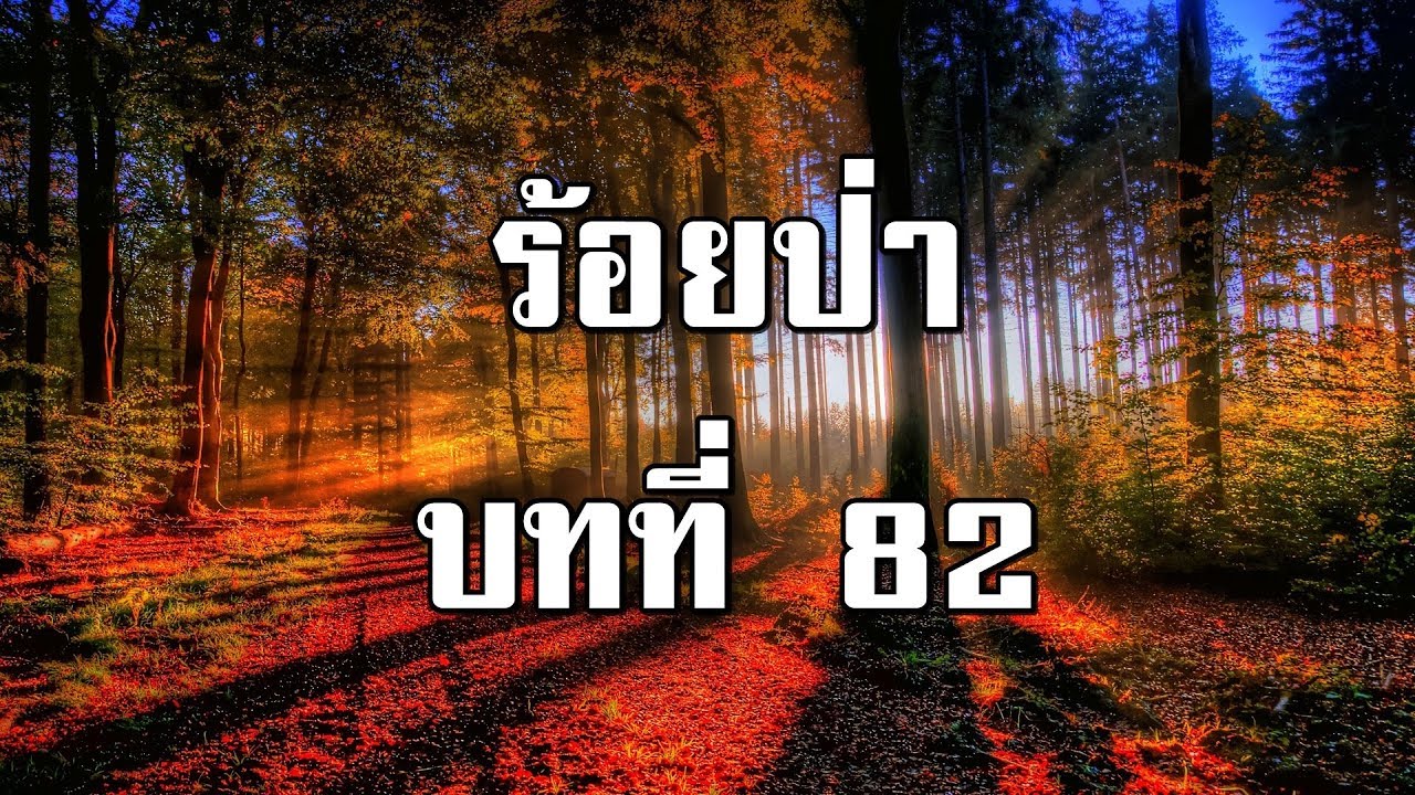 ร้อยป่า บทที่ 82 คำสั่งลับของป่าไม้เขต | สองยาม