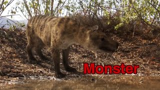 Hyaenodon Tribute Monster Remake Ver.