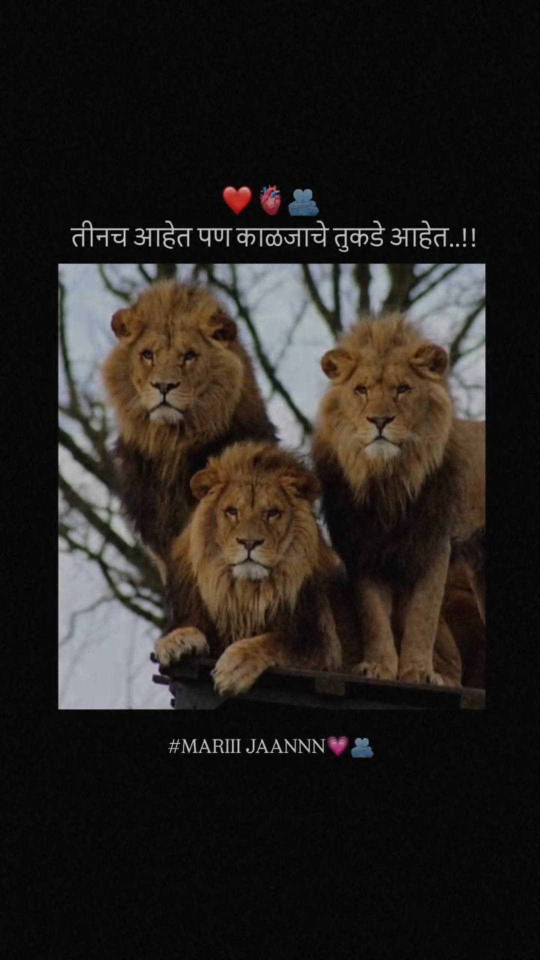 🎭Whatsapp status - ShareChat