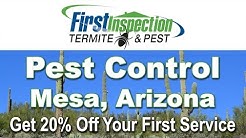 Az Mesa Control Termite Az Mesa Control Termite