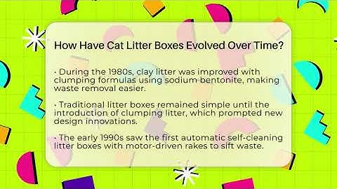 How Have Cat Litter Boxes Evolved Over Time? - Happy Cat Handbook