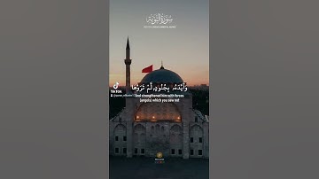 سورة التوبة #سورة_التوبة