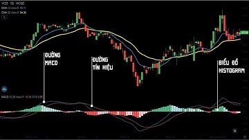 💡 Học cách sử dụng MACD một cách chuyên nghiệp