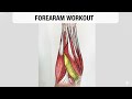 FOREARM WORKOUT AT HOME | Build Strong Grip &amp; Bigger Forearms