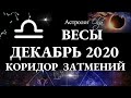 ВЕСЫ - ДЕКАБРЬ 2020 - КОРИДОР ЗАТМЕНИЙ. Астролог Olga