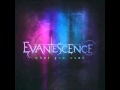 Evanescence What You Want Audio Only