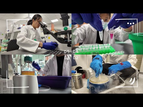 So Close To Concert Showday!! 😎🧑🏻‍🔬🧋🐀🔬
