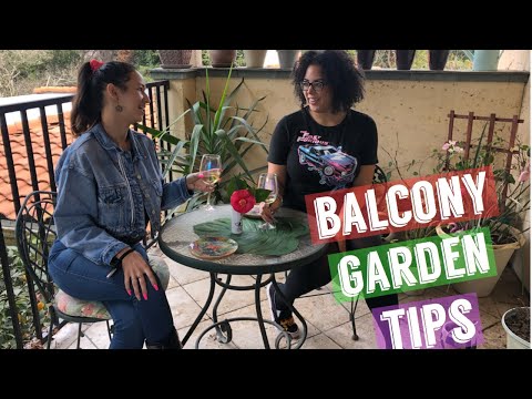 Small Balcony Garden & House Plant Tips!! Interview with Shanelle Parker, Napa CA