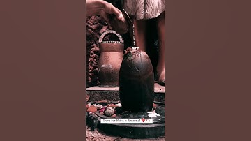 Shivling Jal Abhishek || Shivling Abhishek 🙏🏻 #shortvideo  #shortsyoutube #shorts #short