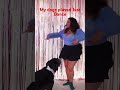 When I convinced my dogs to play #justdance #shorts