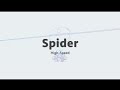 Spider  highspeed  360wirecam
