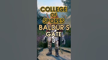 a COLLEGE OF SPORES build for Baldur