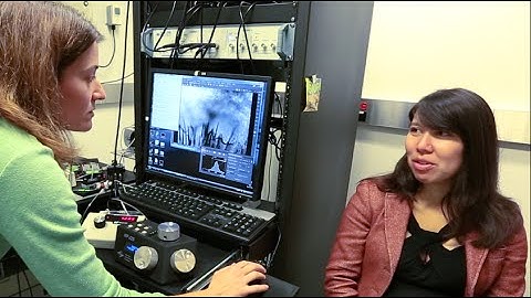 The Lab: Gwyneth Card Trailer #2