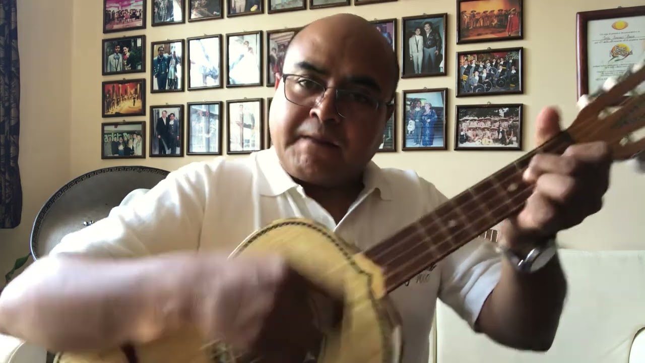 La Malagueña (huapango) para Vihuela JJ