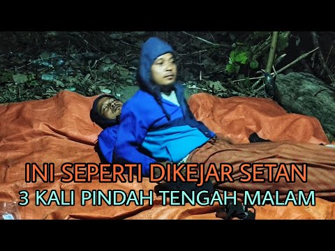 Update Baru! Menemukan Semua Kotak Rahasia Baru 😲✨ Super Bear Adventure