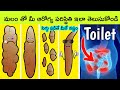 What your Poop says about your health | Telugu facts | BMC Facts | health tips in Telugu