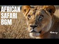 African Safari Relaxing Music – Swahili BGM for Sleep, Study, Meditation &amp; Healing | Ambient Sounds