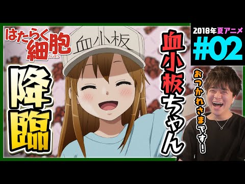 Hataraku Saibou!! at 9anime