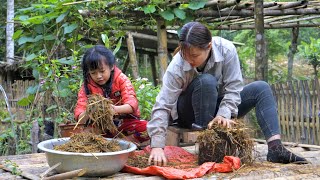 Harvest Straw To Make Mushrooms - Tra Single Mom