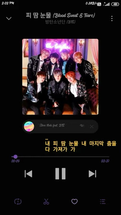 Blood Sweat Tears//BTS//