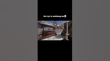 BRO💀#callofduty #callofdutymobile #codm #codmobile #highlights #fennec