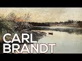 Carl Brandt: A collection of 45 paintings (HD)