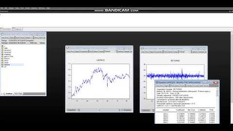 Video 8   How to estimate an ARCH(q) model (part 2) on Eviews