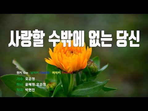 [은성 반주기] 사랑할수밖에없는당신 - 오은정