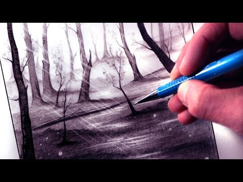 Video: How To Draw A Forest