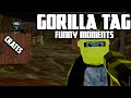 Gorilla tag funny moments  crates edition fan lobby