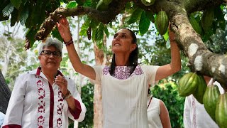 Food For Wellbeing Comalcalco Tabasco