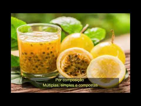 O FRUTO- BIOCLIPE