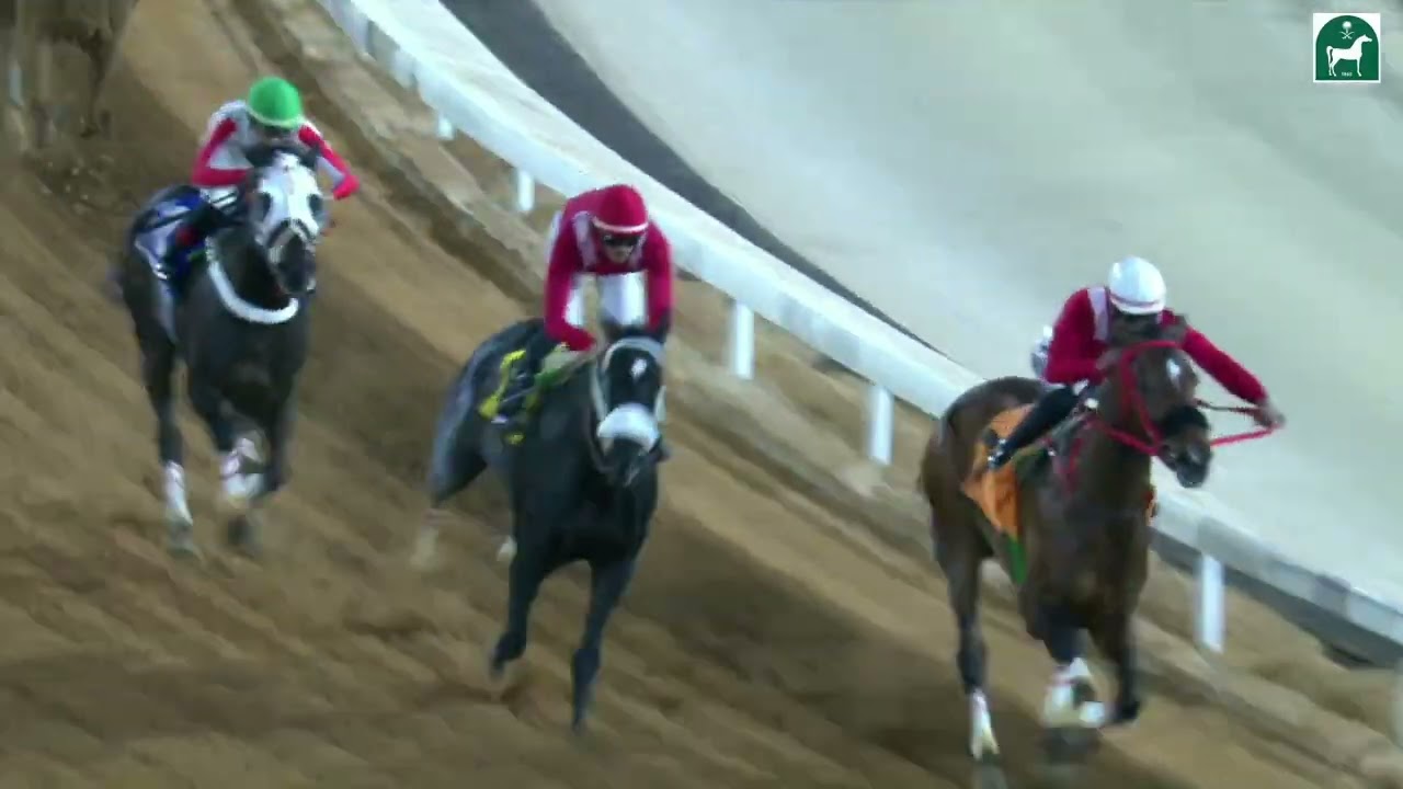 الشوط الثاني عشر للحفل 55 بموسم سباقات الرياض