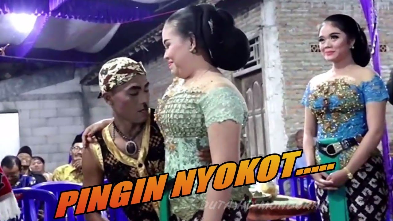 PARDI KUCING Ora Wani Nyokot.....