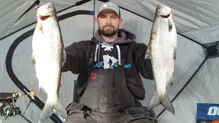 Tulibee Takedown on Leech Lake