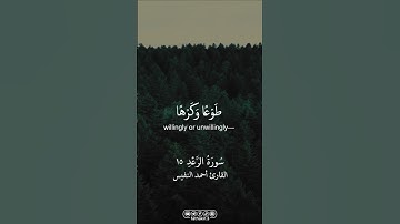 الرعد - الآية ١٥ || وَلِلَّهِ يَسْجُدُ مَن فِي السَّمَاوَاتِ وَالْأَرْضِ طَوْعًا وَكَرْهًا