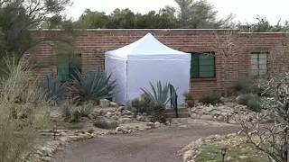 NANCY GUTHRIE FATALLY WOUNDED IN HOME?