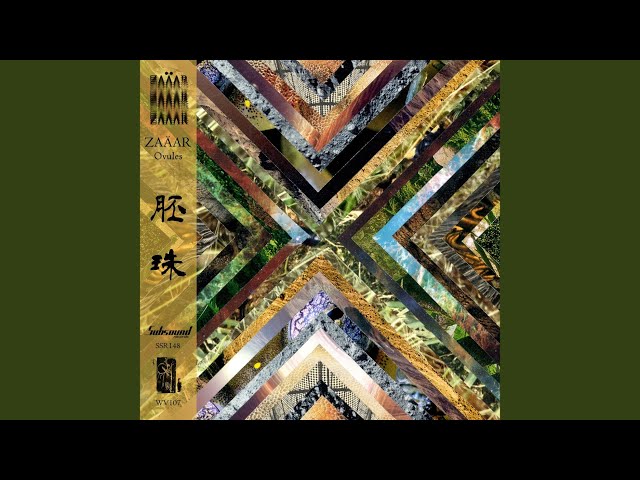 Omnimorphic Ov Androgyny - II - The Troglobitic Host