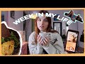 Weekly vlog freelance life sport diet rusmin etc